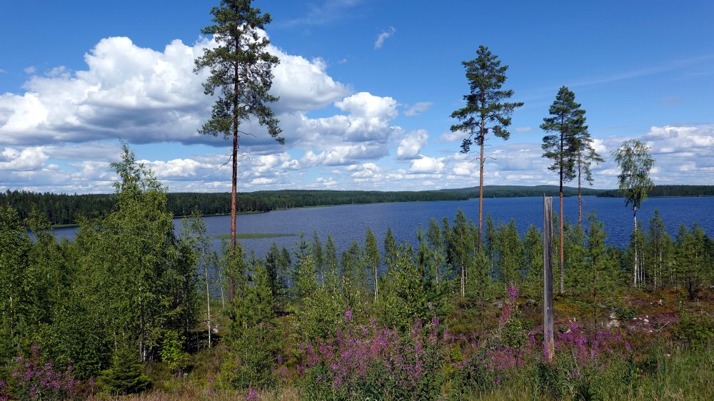 Varkaus