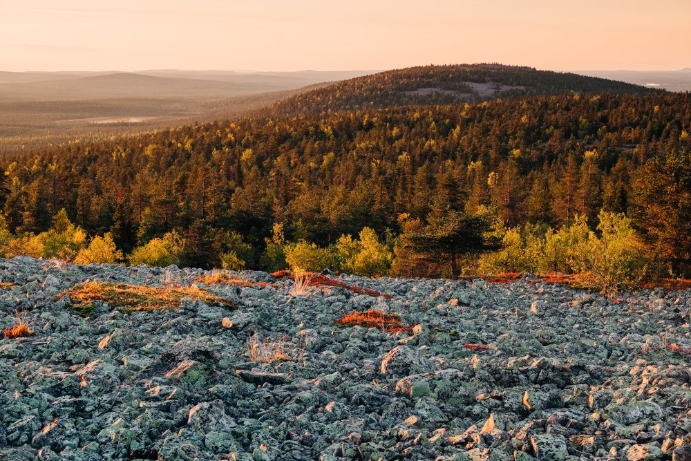 Pelkosenniemi