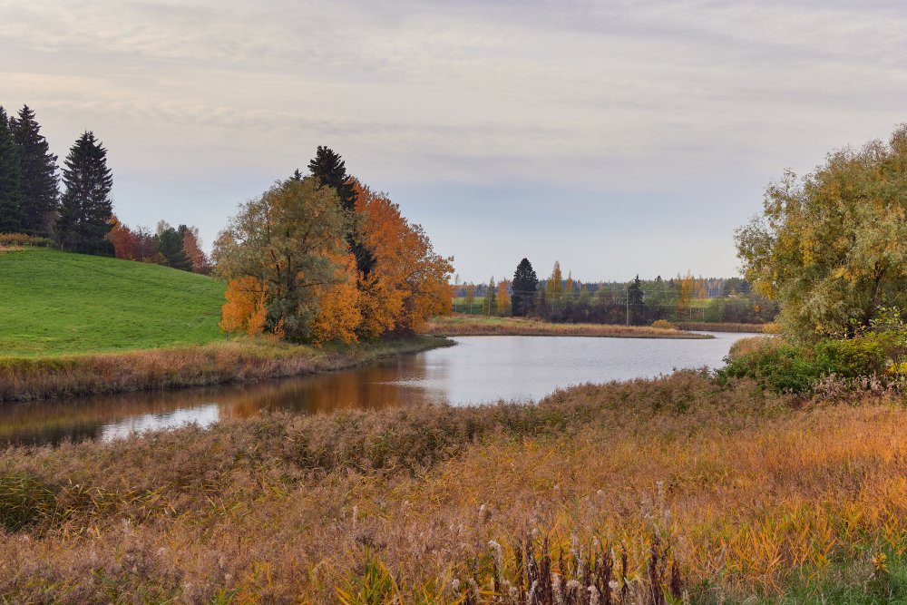 Toivakka