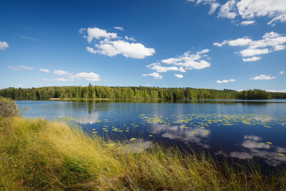 Vöyri