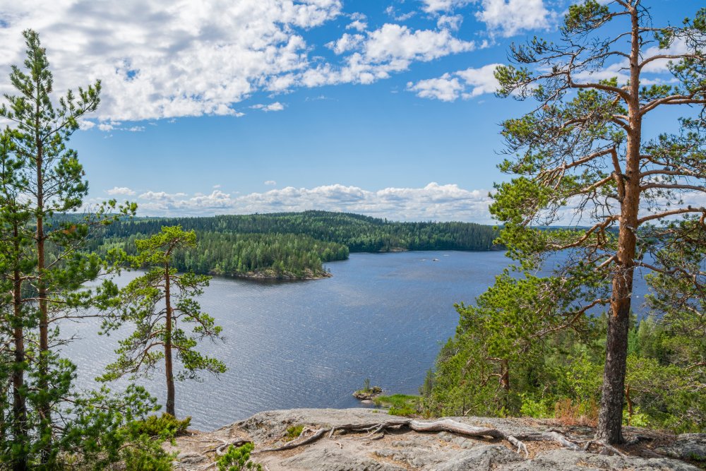 Kiuruvesi
