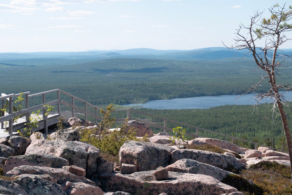 Salla