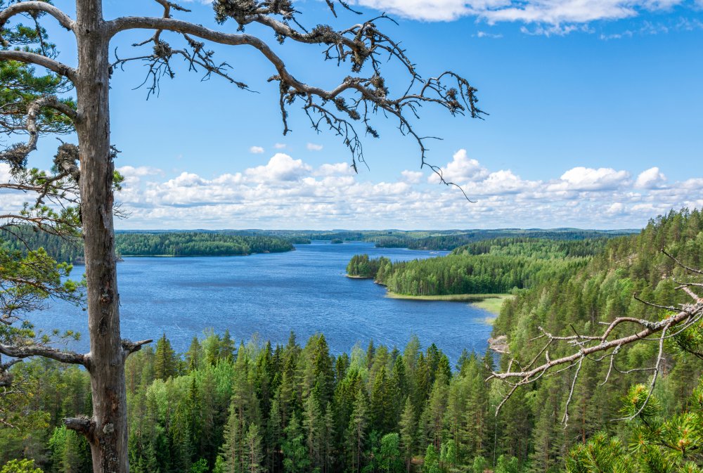 Ristijärvi